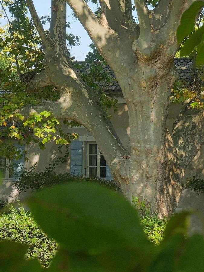Montjoia Bed & Breakfast Le Thor Exterior photo