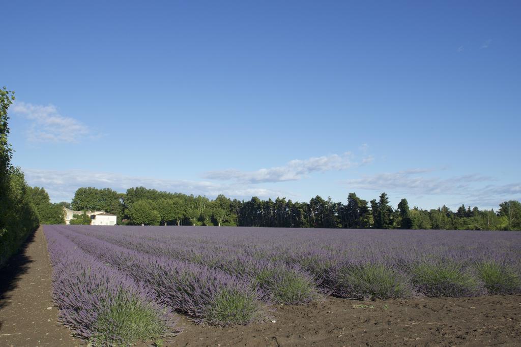 Montjoia Bed & Breakfast Le Thor Exterior photo